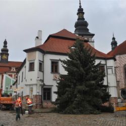 Vánoční strom už stojí také v centru Pelhřimova