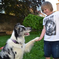 Podpořte fotografii z Tříkrálové sbírky