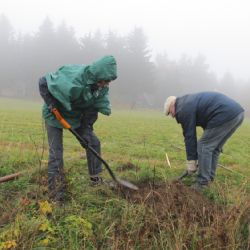 V Biocentru Pod Vortem u Nového Veselí vyrostou nové stromy