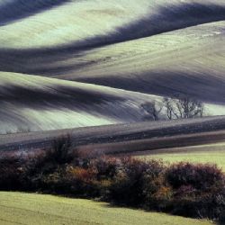 Fotosoutěž Photographia Natura 2017 zná vítěze