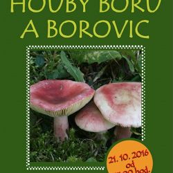 Houbařské akce na Jihlavsku