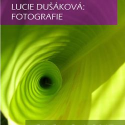 Lucie Dušáková vystavuje v jihlavském muzeu