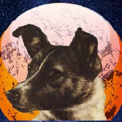 Na počátku byla Lajka