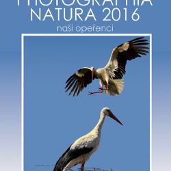 V Jihlavě vyhlásí vítěze soutěže Photographia Natura 2016