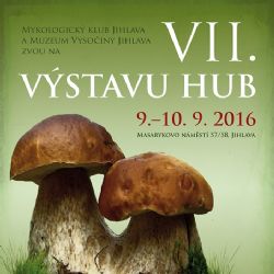 Výstava hub v jihlavském muzeu