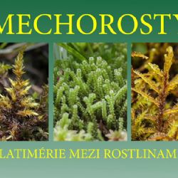 Výstava mechorostů v jihlavském muzeu