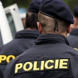 Místo hub našel muž v lese munici