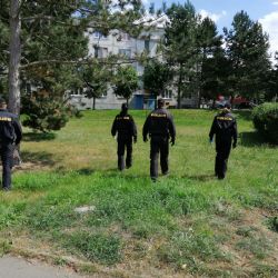 Policisté vypátrali hledaného muže