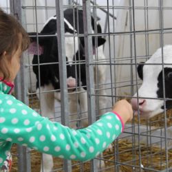 Lidé potřebují jíst. Proto potřebujeme zemědělce