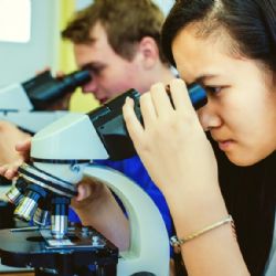 V Třebíčí budou mít naučnou stezku o horninách a minerálech