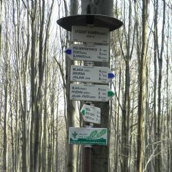 Vysoký kámen na Jihlavsku