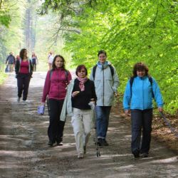 Společná doprovázená pouť lidí zdravých a handicapovaných na Křemešník