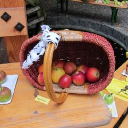 Den jablek v Novém Městě na Moravě