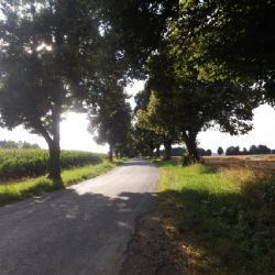 Nominujte alej z Vysočiny, už jen do neděle