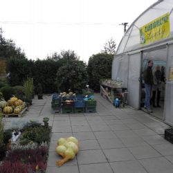  Dýňobraní v Zahradnictví Loucký v Jaroměřících nad Rokytnou