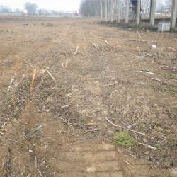 Za nepovolené kácení v Havlíčkově Brodě dostala firma PARPLANDO pokutu 150 tisíc korun