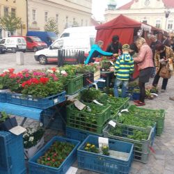 Koudelův talíř opět v Havlíčkově Brodě