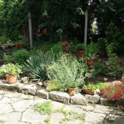 Víkend otevřených zahrad v Havlíčkově Brodě