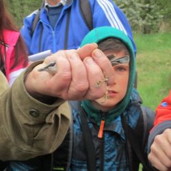 Vítání ptačího zpěvu v Jihlavě se vydařilo