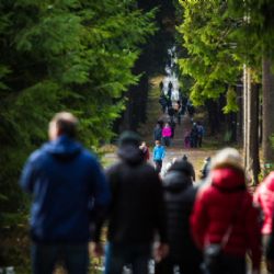 Turisté na Jihlavsku vyrazili na Javořici