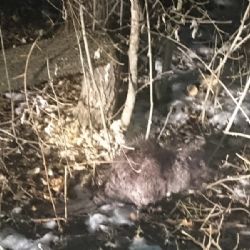 Fantom Dukovan přistižen přímo při činu