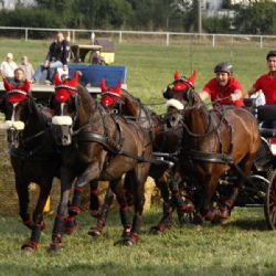 Finále seriálu závodů Zlatá podkova 2016 po jednapadesáté