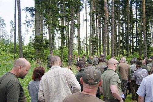 obrázek:Lesníci v Nýrově řešili správu církevních lesů a kůrovcovou kalamitu