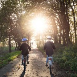 Nová cyklotrasa Via Silva Nortica propojí Vysočinu, Jižní Čechy a Rakousko a změní Melk na cyklistickou destinaci