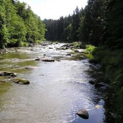 Vodácká sezóna na Sázavě: Nízká hladina, stále oblíbená!