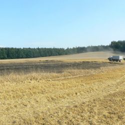 Drobný déšť Vysočině nepomáhá. Vysychají řeky, chybí pozemní vody
