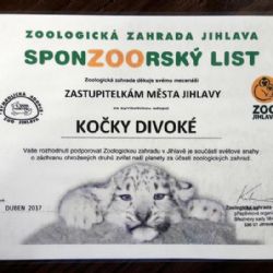 Jihlavské zastupitelky opět adoptují kočku ze zoo