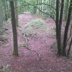 Vařil pivo, založil klášter a u Ledče si postavil hrad, z nějž nic nezbylo