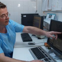 Žloutenka už je i na Vysočině. Hygienici napočítali už šest nemocných