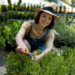 Přerov podpoří zahrádkářství: Nová osada o stovce parcel
