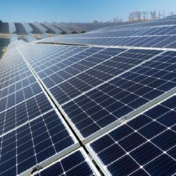 Unikátní výzkum: Jak fotovoltaika ovlivňuje polní plodiny u Okrouhlice