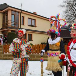 Tradiční masopust v Herálci se koná 14. února, 32 masek a oživení krávy