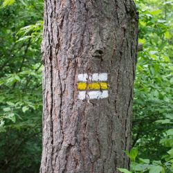 Nová turistická trasa Veselá