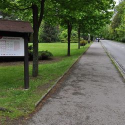 Přibyslav musí umístit 10000 sazenic stromků. Kam s nimy?