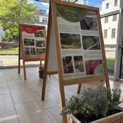 V Kraji Vysočina objevte léčivou sílu zahrad!