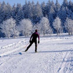 Vysočina vstoupila do běžkařské sezony už v listopadu, sníh přeje zejména vyšším polohám