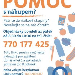 Skauti v Chotěboři pomáhají