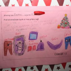 Firmy podpořily žďárskou charitu