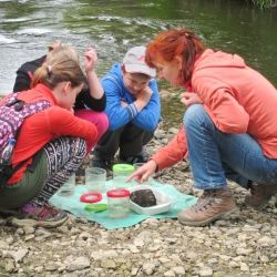 Čeřínek dějištěm jubilejního ročníku soutěže Zlatý list