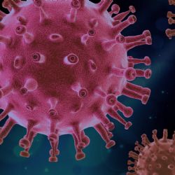 Epidemie covid-19 se v České republice nelepší, nemocnice jsou nadále na hraně svých kapacit