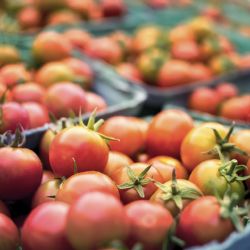 Kraje mohou žádat o podporu z programu Obchůdek 2021+, který pomůže podnikatelům i obyvatelům venkova