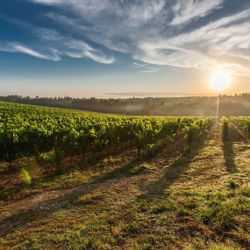 Vláda schválila přírodní katastrofou postižené oblasti pomoc ze státních hmotných rezerv