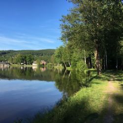 Další závod Běhej lesy na Vysočině, tentokrát na Žďársku