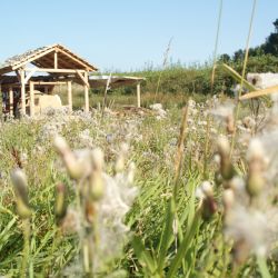 V Havlíčkovom Brode ožíva stredoveké sklárstvo