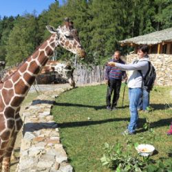 Sváteční dny budou v jihlavské zoo retro