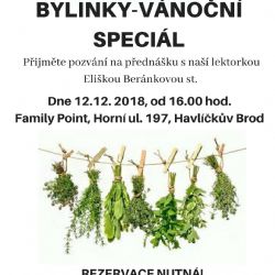 Bylinky - Vánoční speciál
